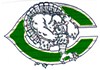 Old Green's Avatar