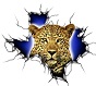 kaorder1999's Avatar
